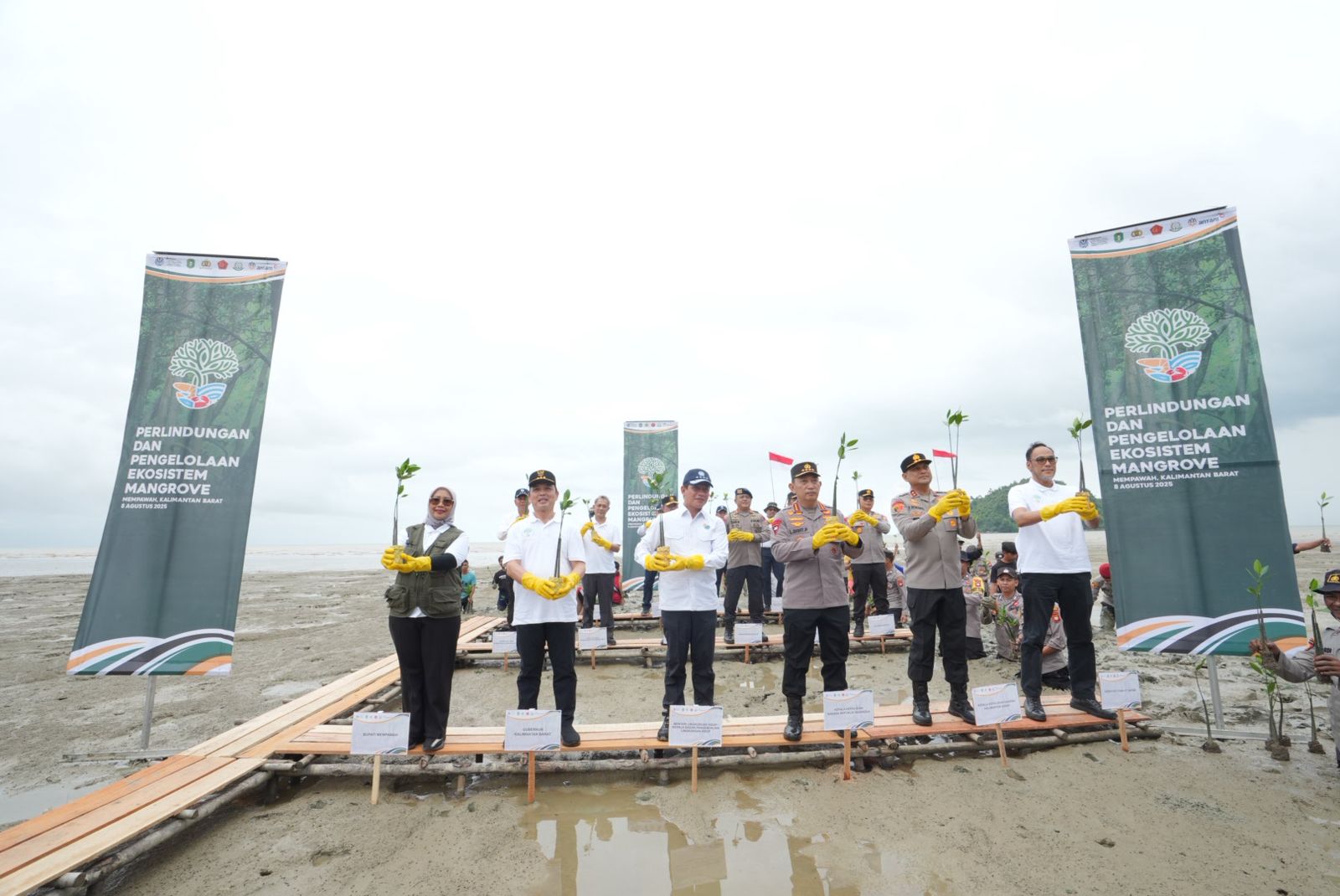 Bangkitkan Ekosistem Pesisir, Menteri Hanif Luncurkan Gerakan Pemulihan Mangrove Nasional
