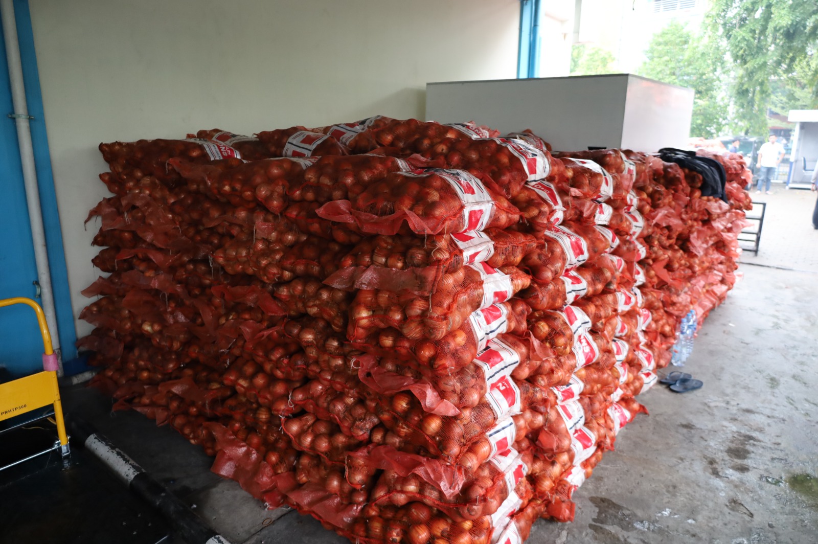 Bea Cukai Kalbagbar Gagalkan Penyelundupan 30 Ton Bawang Bombai Asal New Zealand