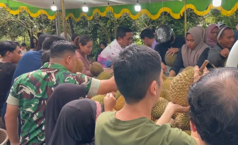 Antusiasme Warga Pontianak Membeludak, 800 Buah Durian Jemongko Habis Terjual Kurang dari Setengah Jam
