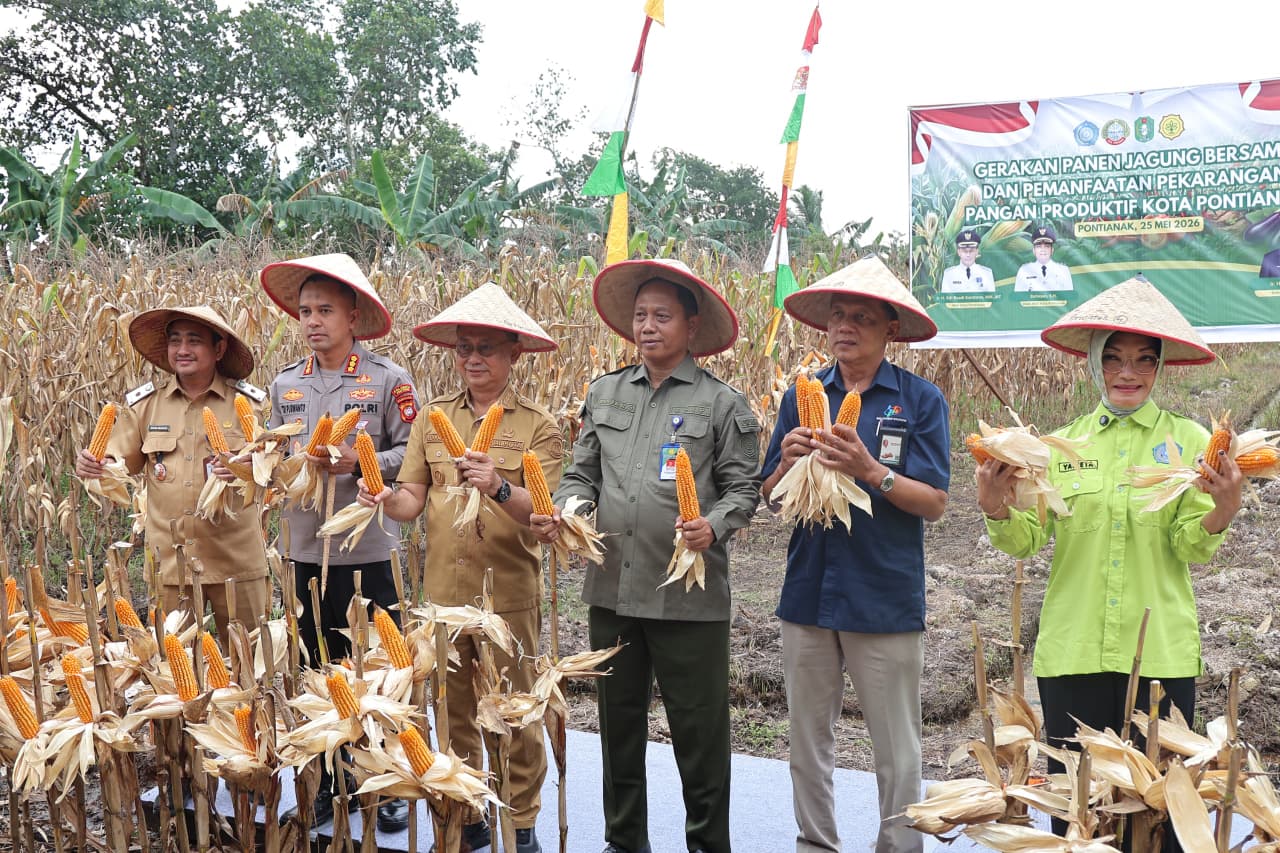 Semangat Abdul Hamid Bertani di Tengah Lahan Menyusut, Pemkot Pontianak Perkuat Ketahanan Pangan