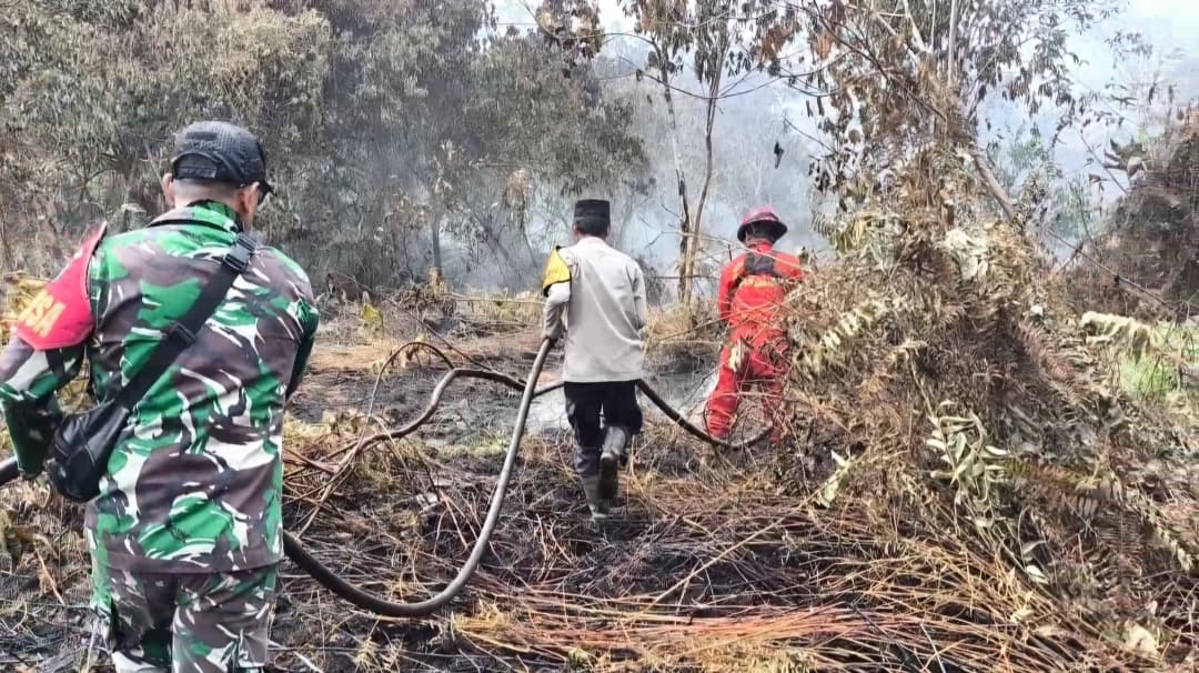 KLH/BPLH Larang Pembukaan Lahan dengan Cara Membakar, Pelanggar Terancam Sanksi Pidana