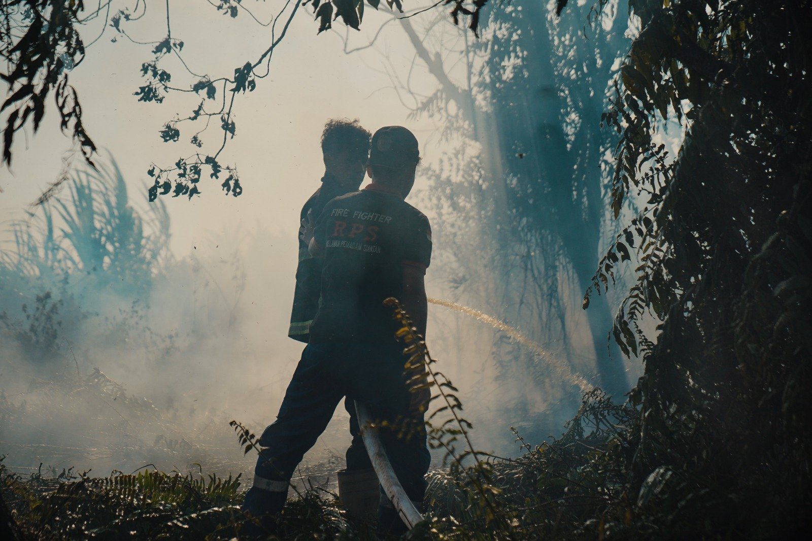 Edi Tegaskan Pelaku Pembakar Lahan di Pontianak Harus Ditindak, Dua Lokasi Karhutla Diselidiki