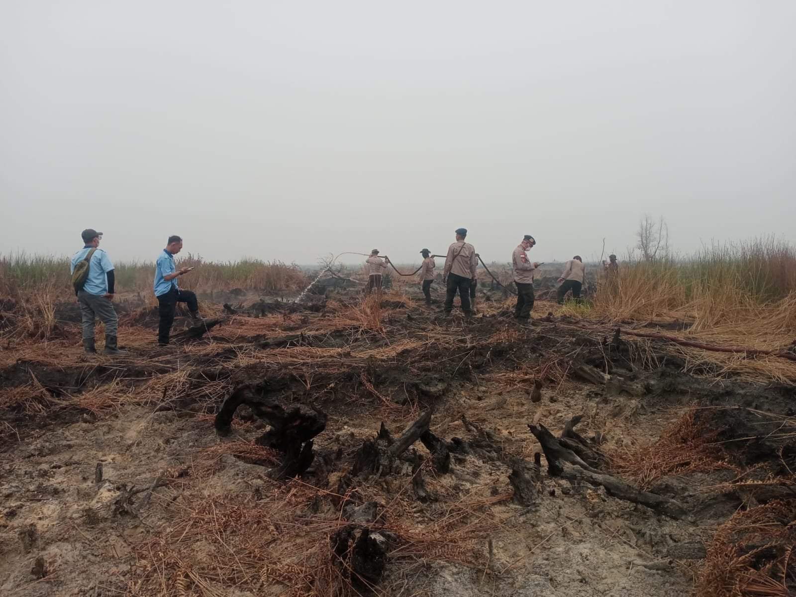Cegah Karhutla Kembali Terjadi, Brimob Kalbar Patroli Lahan Bekas Kebakaran di Ketapang